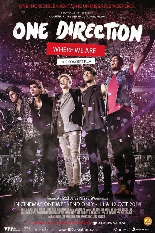 One Direction: Where We Are - The Concert Film afişi