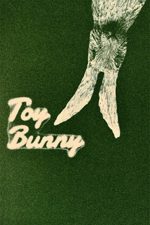 Toy Bunny afişi