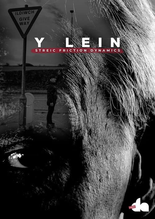 Y Lein: Streic Friction Dynamics afişi