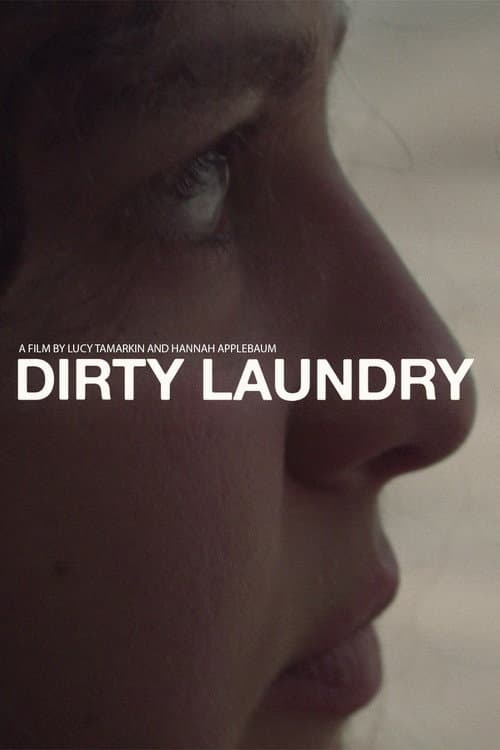 Dirty Laundry afişi
