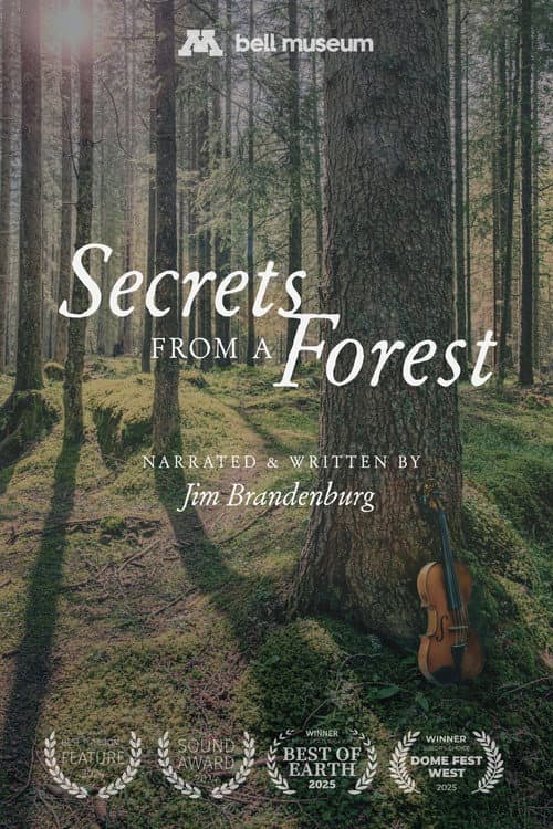 Secrets From a Forest afişi