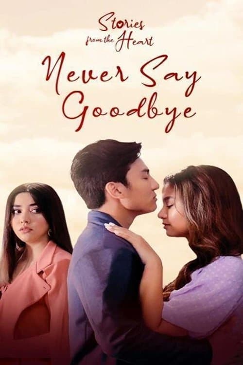 Stories From The Heart: Never Say Goodbye afişi