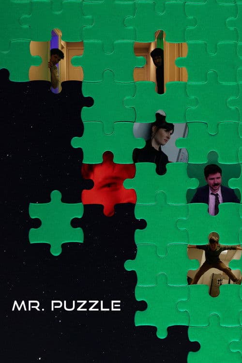 Mr. Puzzle afişi