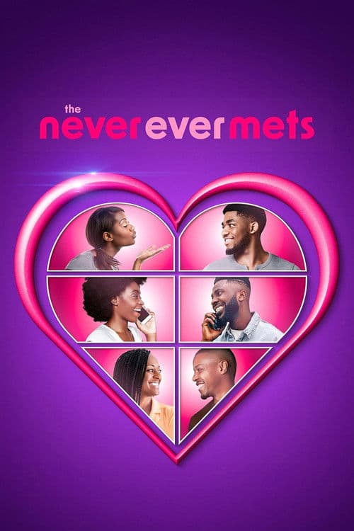 The Never Ever Mets afişi