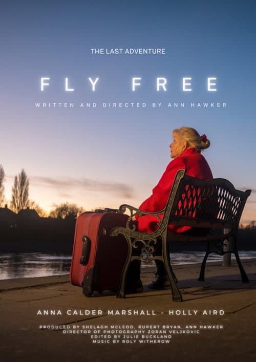 Fly Free afişi