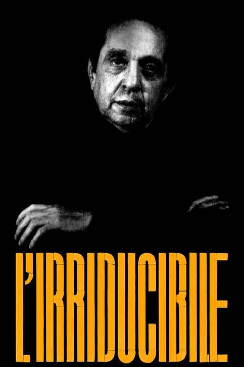 L'irriducibile afişi