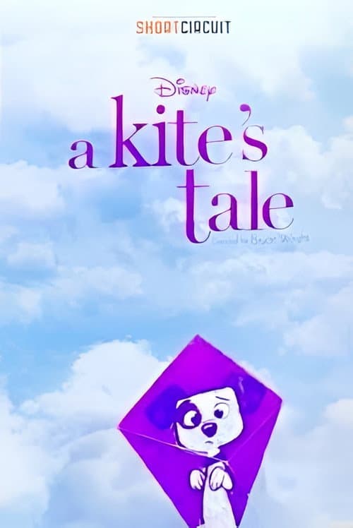 A Kite's Tale afişi
