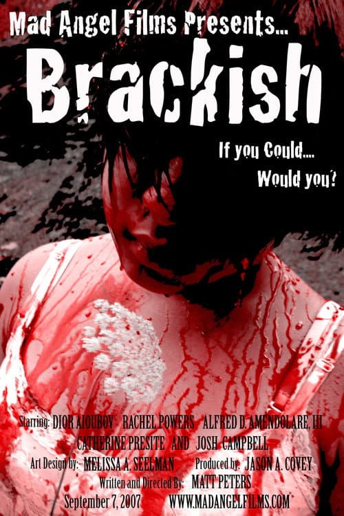 Brackish afişi