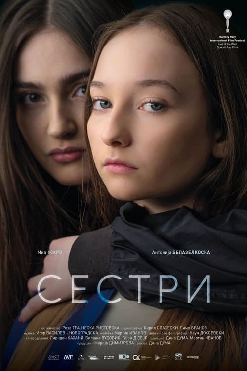 Sisterhood afişi