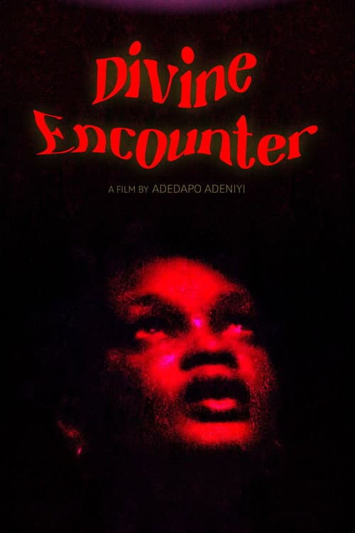 Divine Encounter afişi