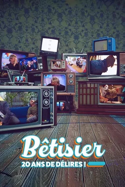 Bêtisier : 20 ans de délires ! afişi