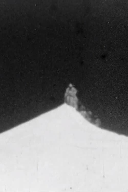 Fourth Everest Expedition afişi