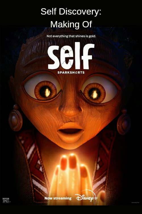 Self Discovery afişi