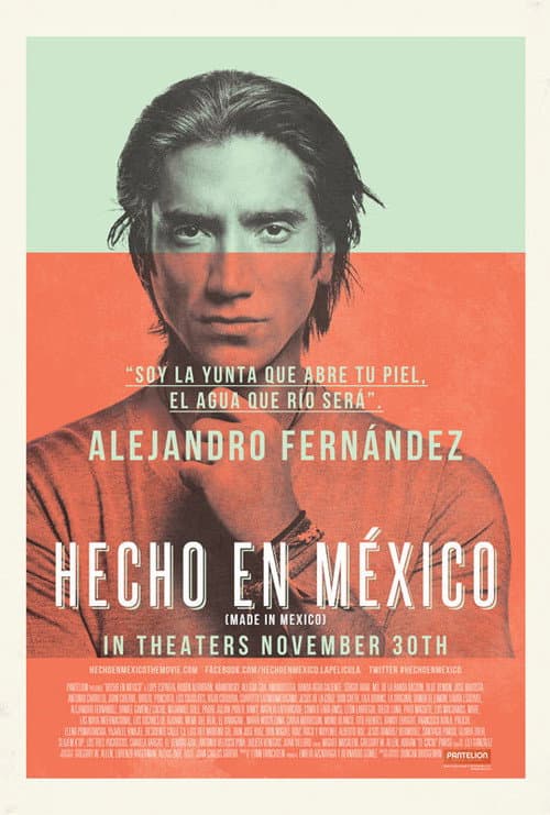 Hecho en México afişi