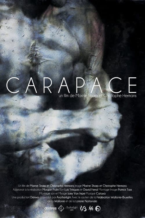 Carapace afişi
