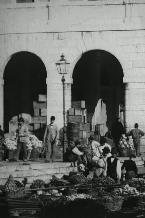 Panoramic View of the Vegetable Market at Venice afişi