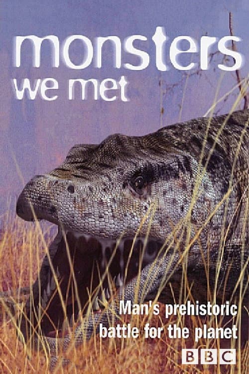 Monsters We Met afişi