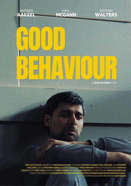 Good Behaviour afişi