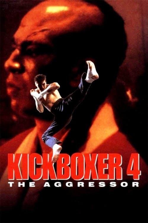 Kickboxer 4: The Aggressor afişi