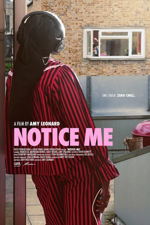 Notice Me afişi