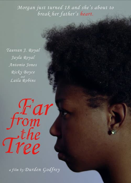 Far From The Tree afişi