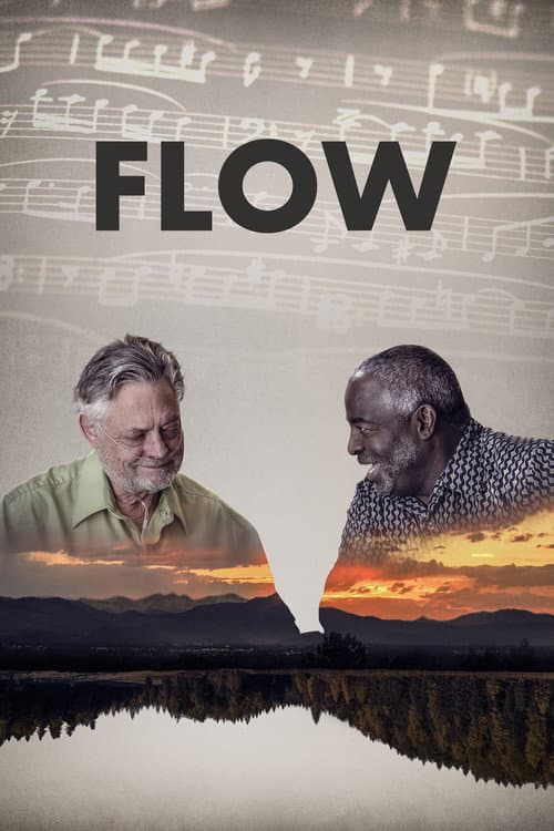 Flow afişi