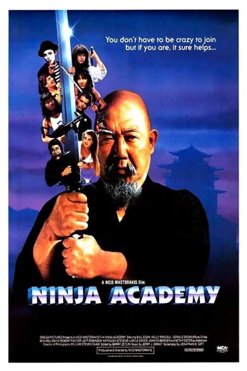 Ninja Academy afişi