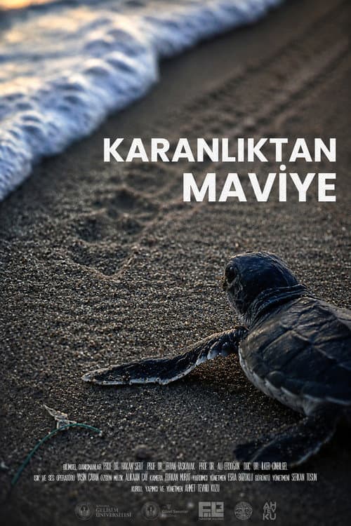 Karanlıktan Maviye afişi