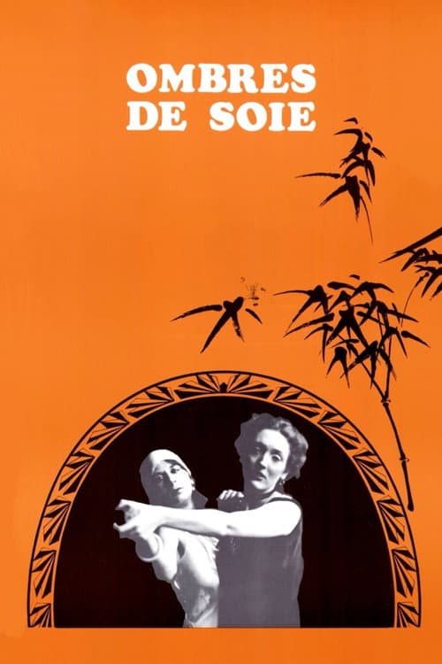 Ombres de soie afişi