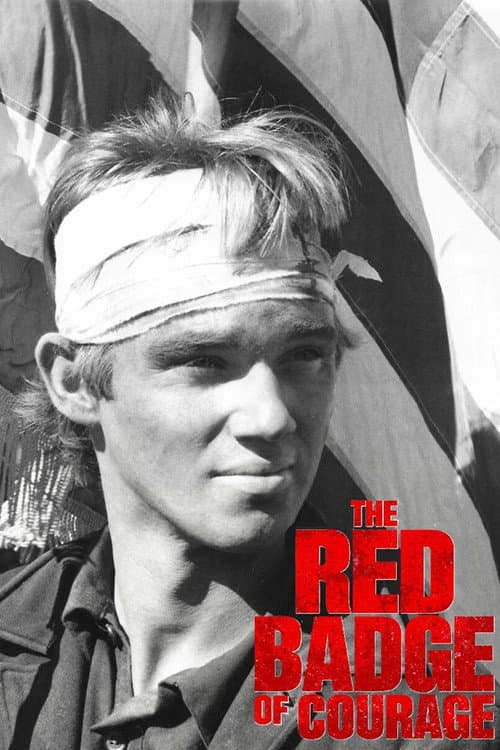 The Red Badge of Courage afişi