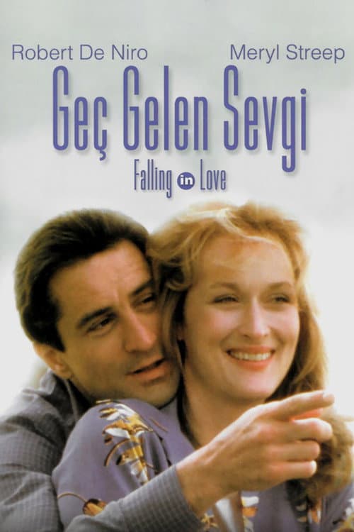 Geç Kalan Sevgi afişi