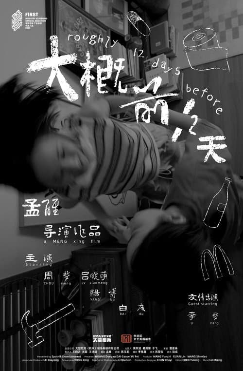 大概前12天 afişi