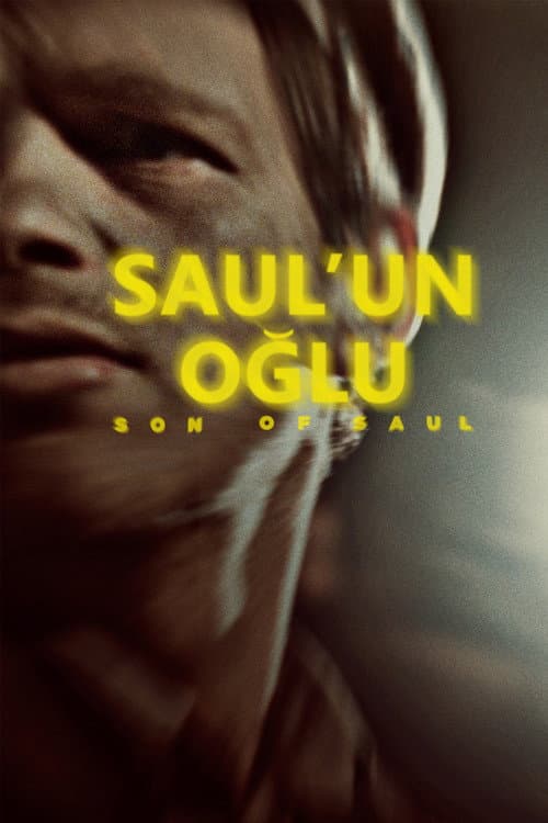 Saul'un Oğlu afişi