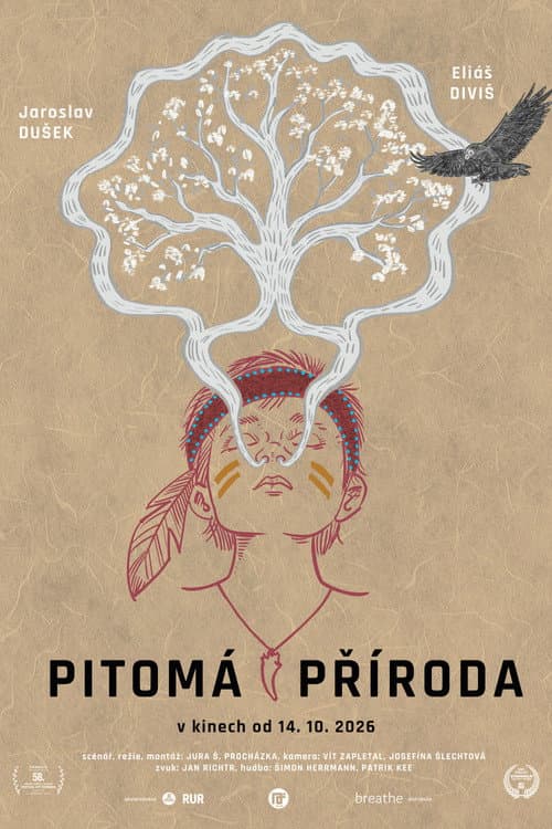 Pitomá příroda afişi