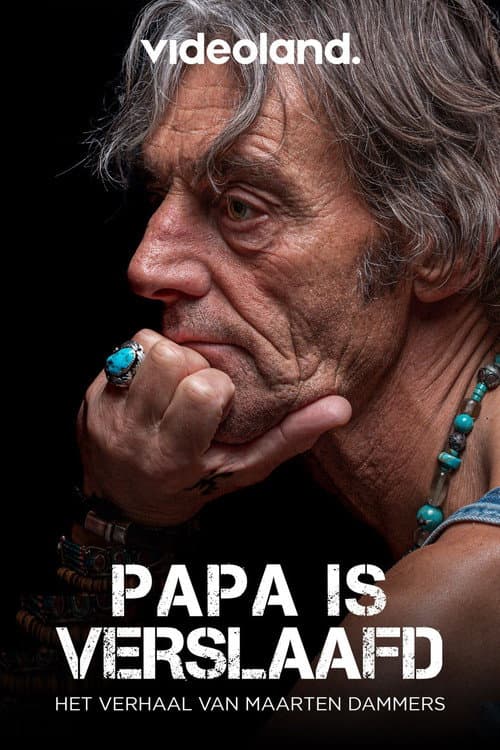 Papa Is Verslaafd afişi