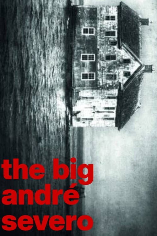 The Big André Severo afişi