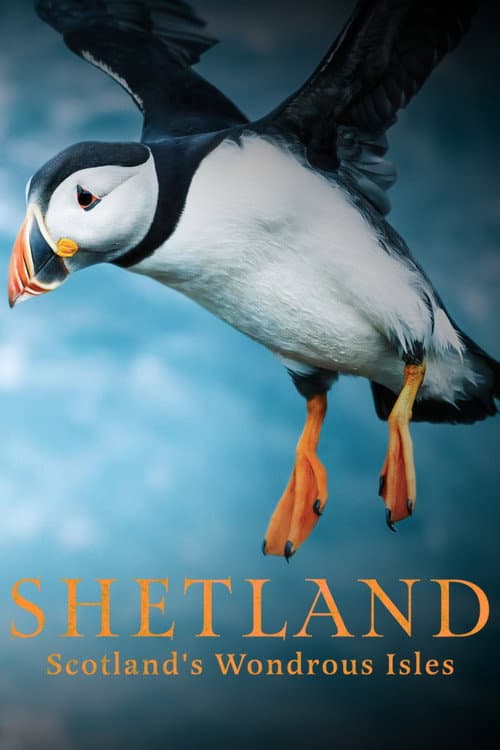 Shetland: Scotland's Wondrous Isles afişi