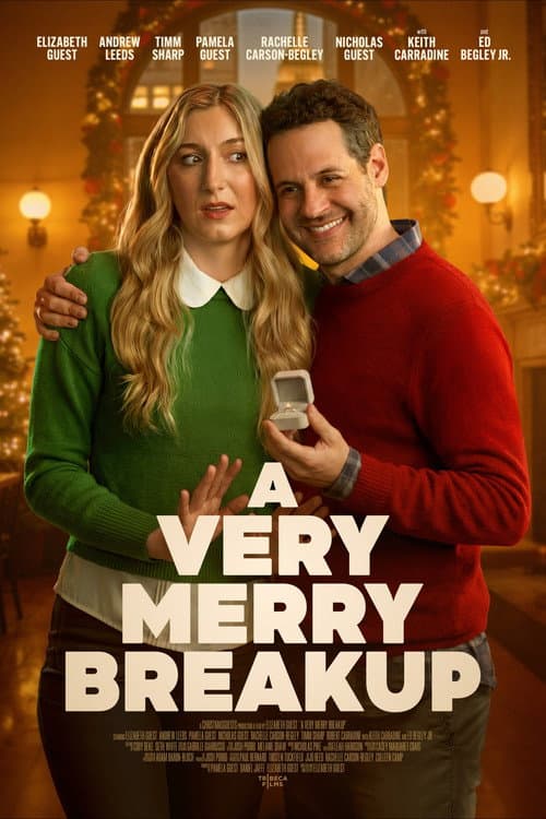 A Very Merry Breakup afişi