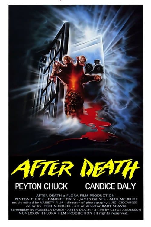 After Death - Oltre la morte afişi