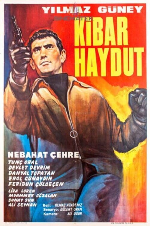 Kibar Haydut afişi