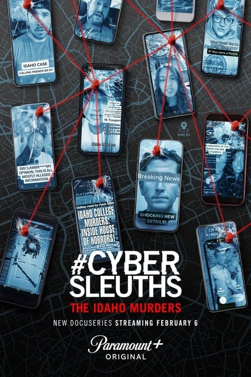 #CyberSleuths: The Idaho Murders afişi