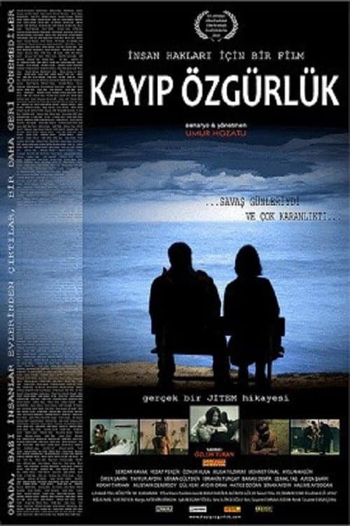 Kayıp Özgürlük afişi