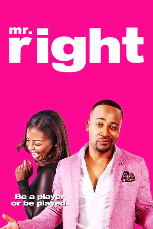 Mr. Right afişi