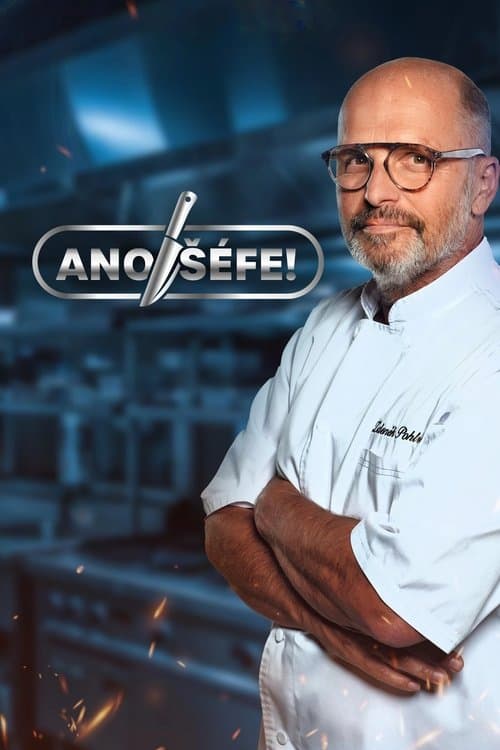 Ano, šéfe! afişi
