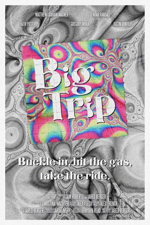 Big Trip afişi