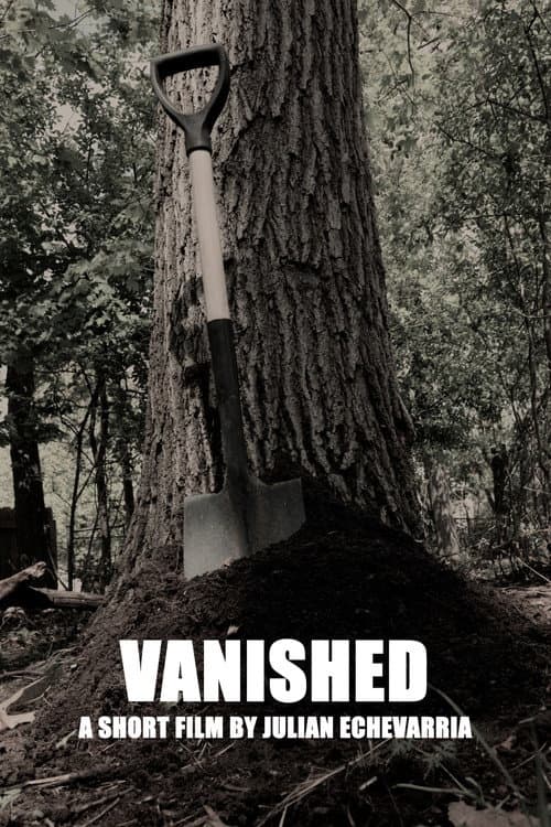 Vanished afişi