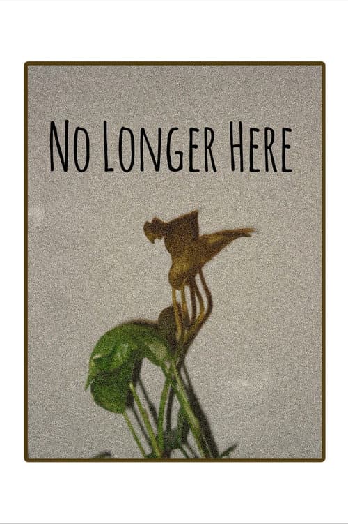 No Longer Here afişi