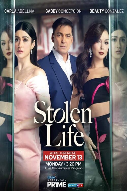 Stolen Life afişi