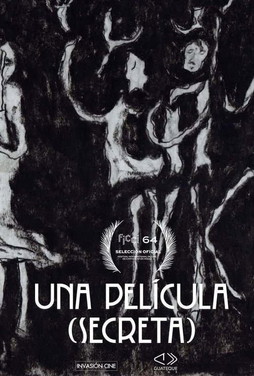 Una película (secreta) afişi