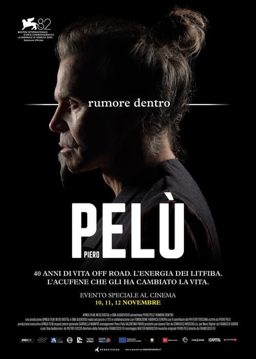 Piero Pelù - Rumore dentro afişi